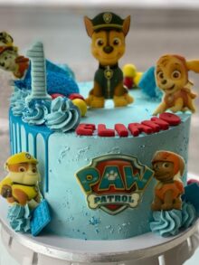 PAW Patrol