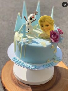 Frozen Torte